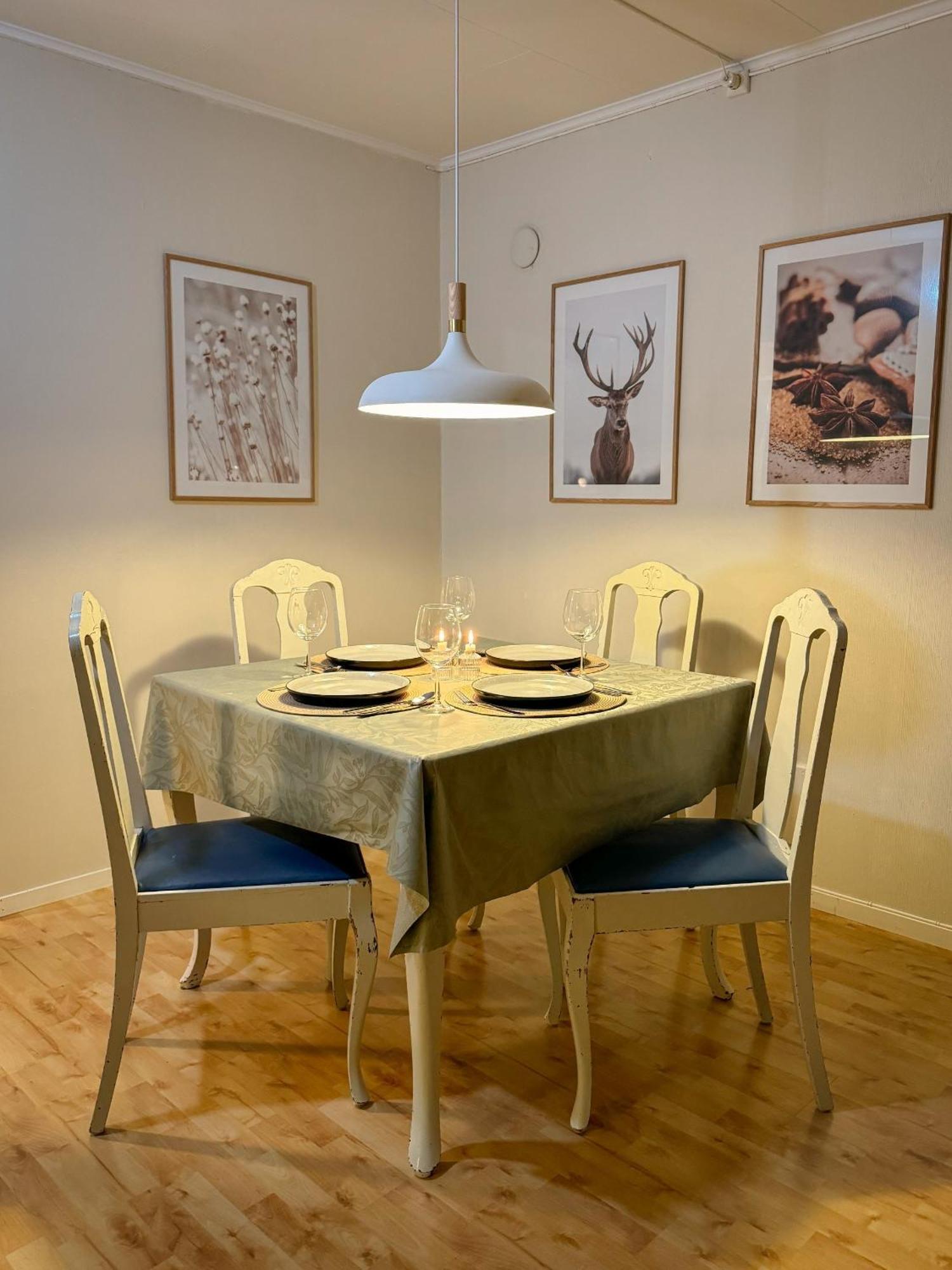 Fredelig Med Utsiktsplass Til Nordlys Appartement