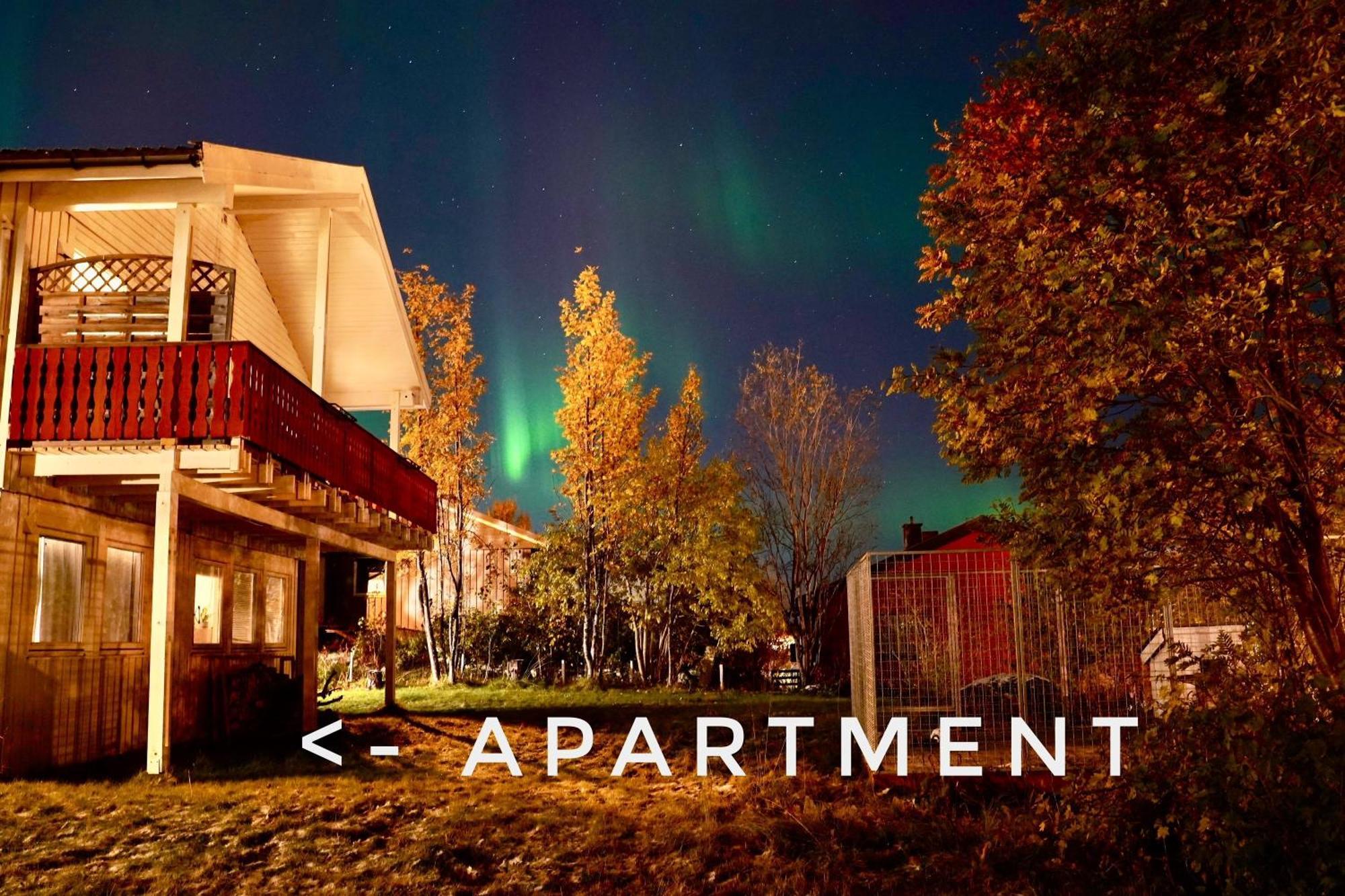 Fredelig Med Utsiktsplass Til Nordlys * Tromsø