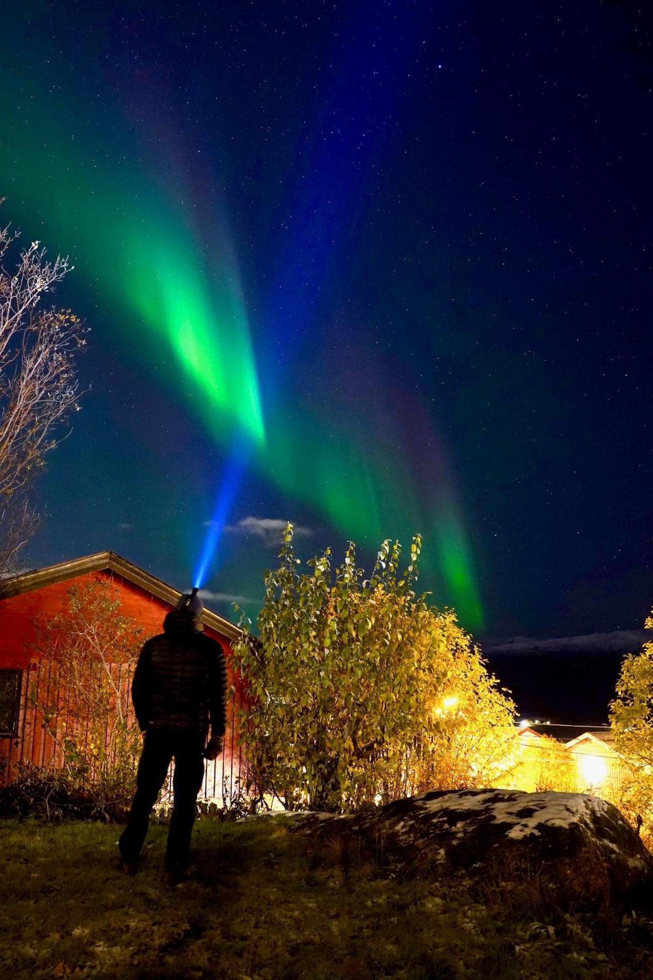 Appartement Fredelig Med Utsiktsplass Til Nordlys